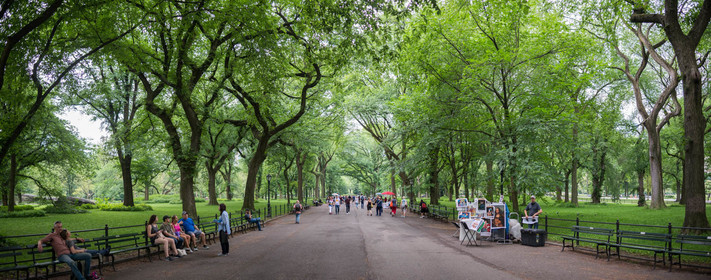 new york 2019
