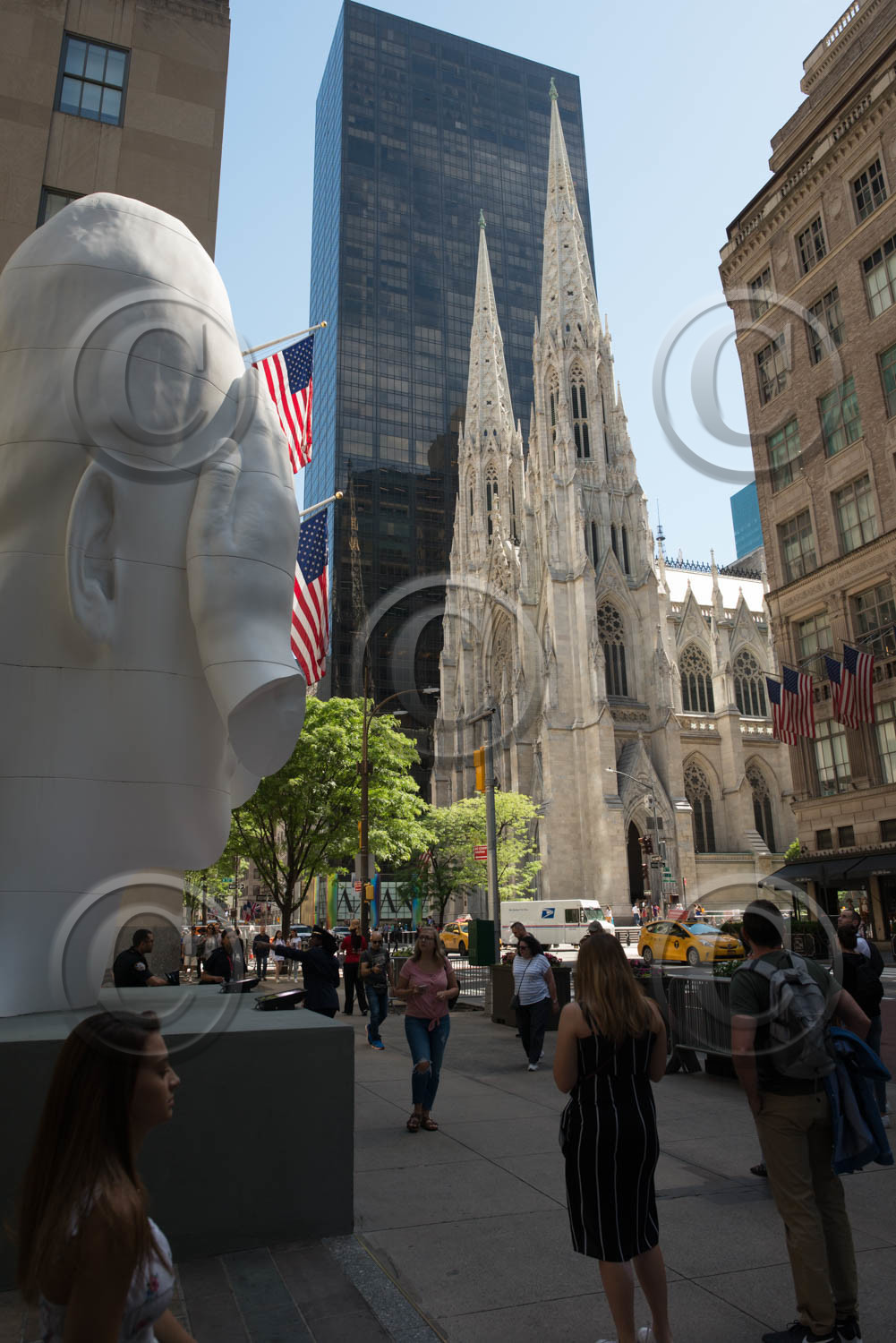 new york 2019
