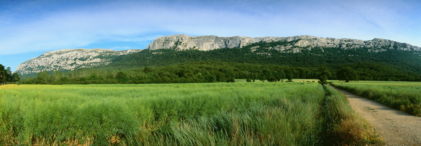 SAINTE BAUME