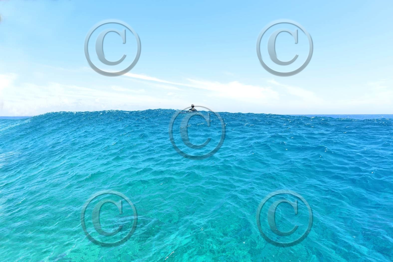 aaaaaadsc_2613-le-haut-de-la-vague-copiekjbkb-copie.jpg