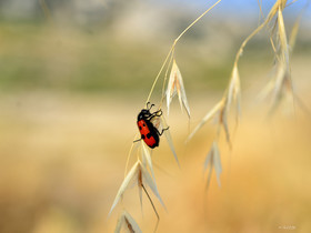 MISE A  JOUR  en cours