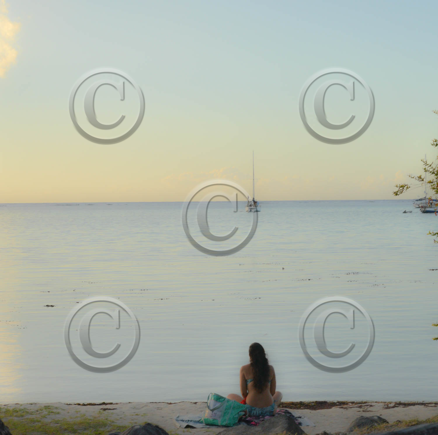 dsc_0638.jpg