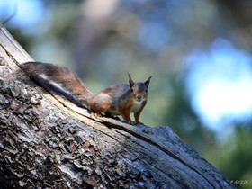 MISE A  JOUR  en cours