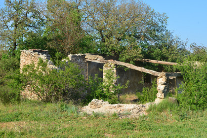 Photo de la sainte baume