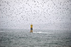 MISE A  JOUR  en cours