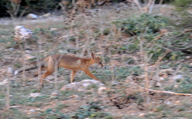 MISE A  JOUR  en cours