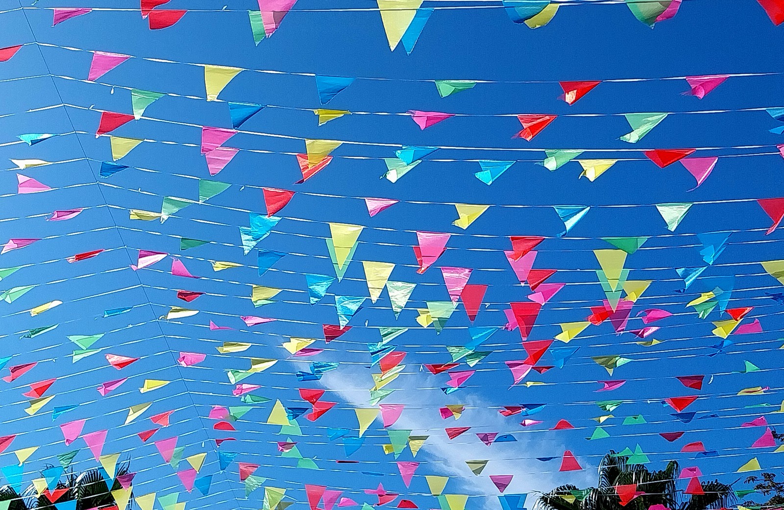 Je suis présent à la foire de Marseillle 2024  horaire 10 h à 19h en semaine              10h à  20h le week end              10h à 23h le vendredi 27 septembre pour la nocturne