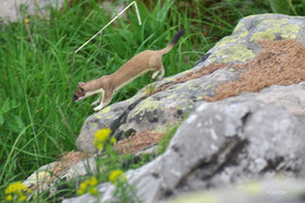 MISE A  JOUR  en cours