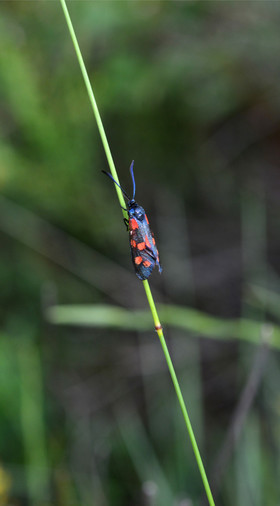 Photo de la sainte baume