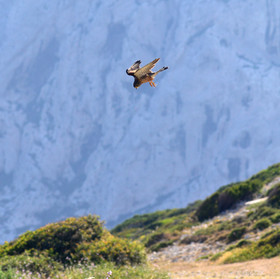 MISE A  JOUR  en cours