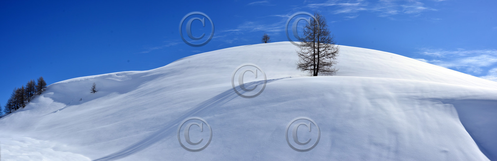 montagne haute alpes ,queyras, mercantour,alpes de haute provence,alpes maritime