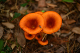 MISE A  JOUR  en cours