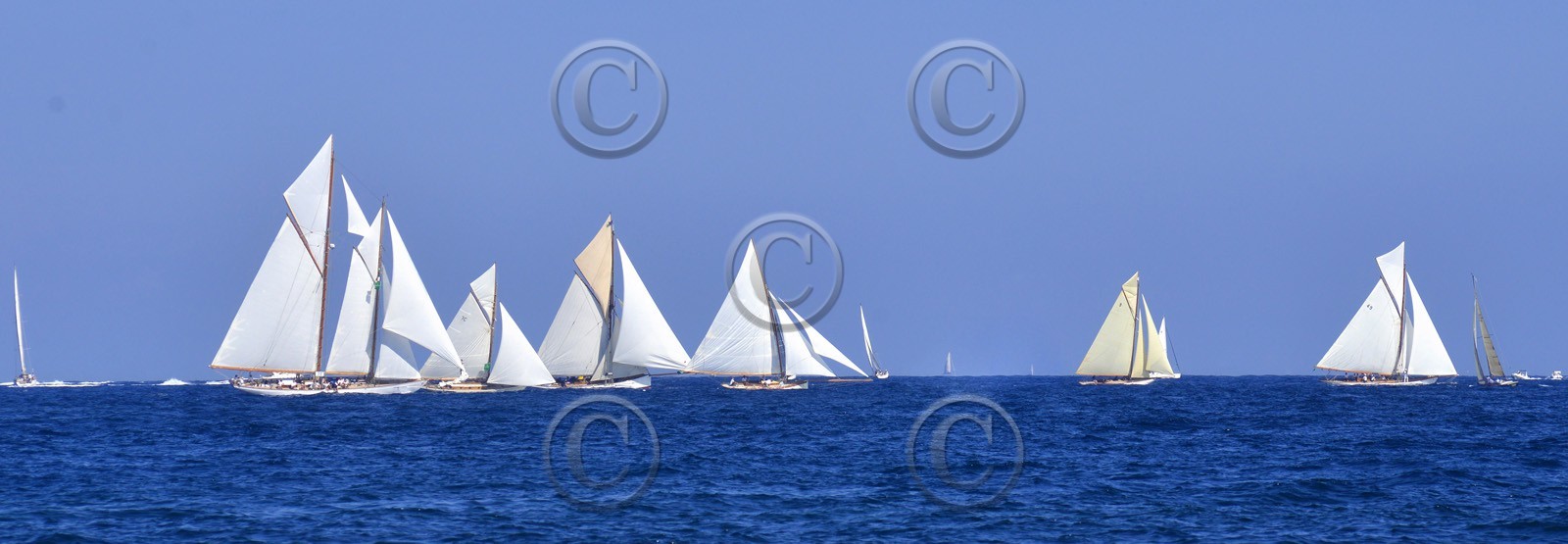 pano-voilles-de-st-tropez-2014-copie.jpg