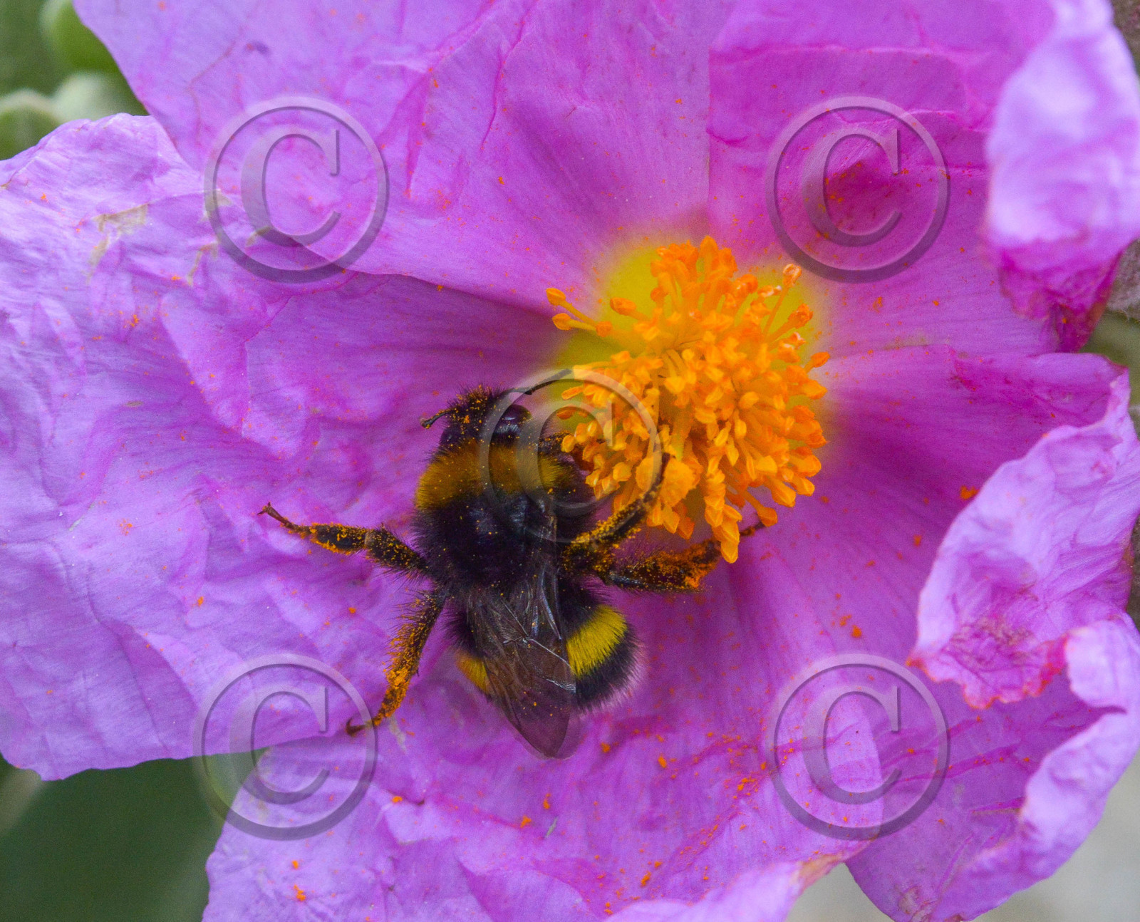 avr_3848-2.jpg