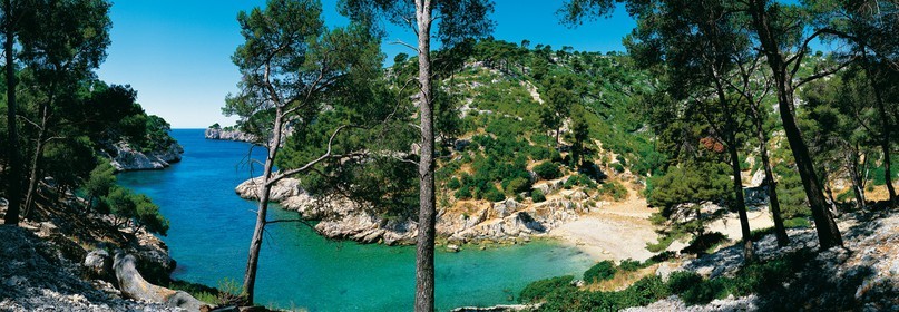CALANQUE DE PORT PIN MARSEILLE CALANQUEFORMAT 33 x 95cmTarif  sur stand et marché  25€