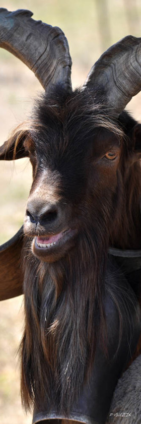 Selection format 20X60 cm