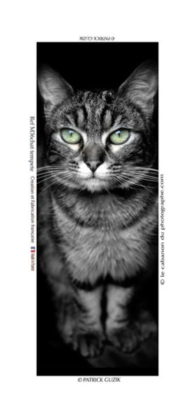 COLLECTION MAGNETIQUE&nbsp;MAGNET MARSEILLE et CALANQUE ,PROVENCE&nbsp; ........