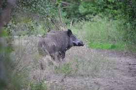 MISE A  JOUR  en cours