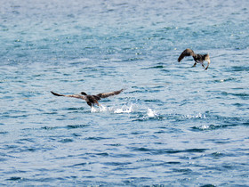 MISE A  JOUR  en cours