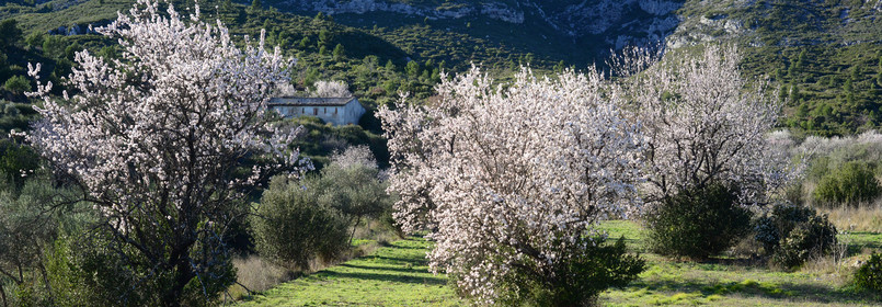 Photo de la sainte baume