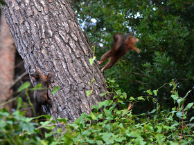 MISE A  JOUR  en cours