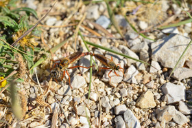 MISE A  JOUR  en cours