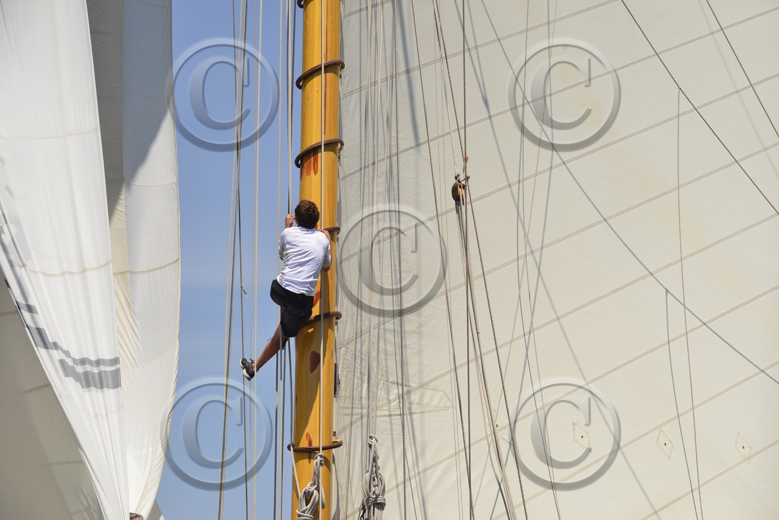 voilles-du-vieux-port-2014-0974.jpg
