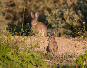 MISE A  JOUR  en cours