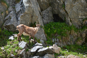 MISE A  JOUR  en cours