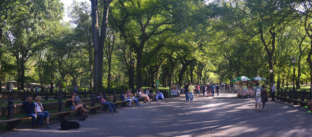 panoramanyc02016-sans-titre1.jpg
