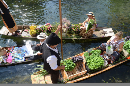 ref-936-provence-marche-flottant-isle-sur-la-sorgues-75x50-cm-marche-flottant-8360.jpg