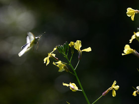 MISE A  JOUR  en cours