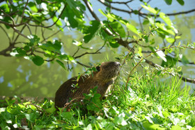 MISE A  JOUR  en cours