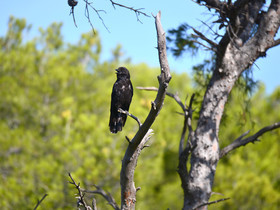 MISE A  JOUR  en cours