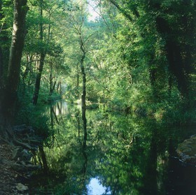 Photo de la sainte baume