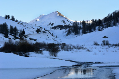 col-de-vars-haute-alpes-de-provence-bouquetin-1213.jpg