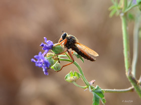 MISE A  JOUR  en cours