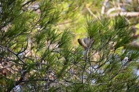 MISE A  JOUR  en cours