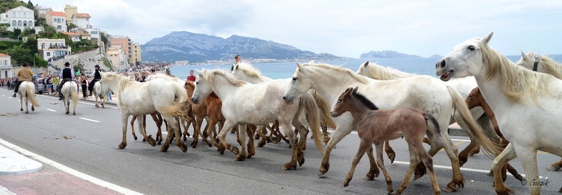 CHEVAUX CAMARGUAIS SUR LA CORNICHE, PLAGE DU PHOPHETE Marseille Provence photo panoramique couleurFORMAT DISPONIBLE   33X95cm ( et 20X60cm en vente direct uniquement )pas de telechargement disponible.A chaque format correspond une éditions limitée spécifique .© collection P GUZIKA titre indicatif suivant la finition, tarif encadré vente direct:33   x 95 cm   99€20   x 60 cm   39€disponible en  30 X10 cm  sur stand en vente directDISPONIBLE SUIVANT STOCK -  CRÉATION JOURNALIERE  -