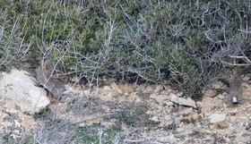 MISE A  JOUR  en cours