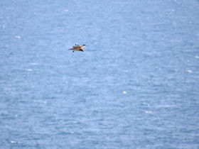 MISE A  JOUR  en cours