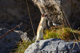 MISE A  JOUR  en cours