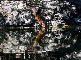 MISE A  JOUR  en cours