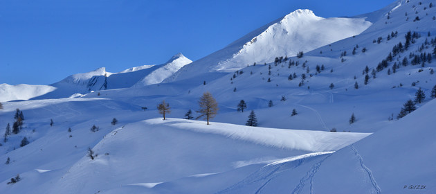 montagne haute alpes ,queyras, mercantour,alpes de haute provence,alpes maritime