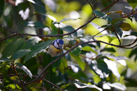 MISE A  JOUR  en cours