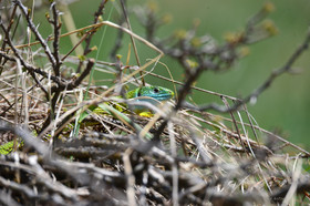 MISE A  JOUR  en cours