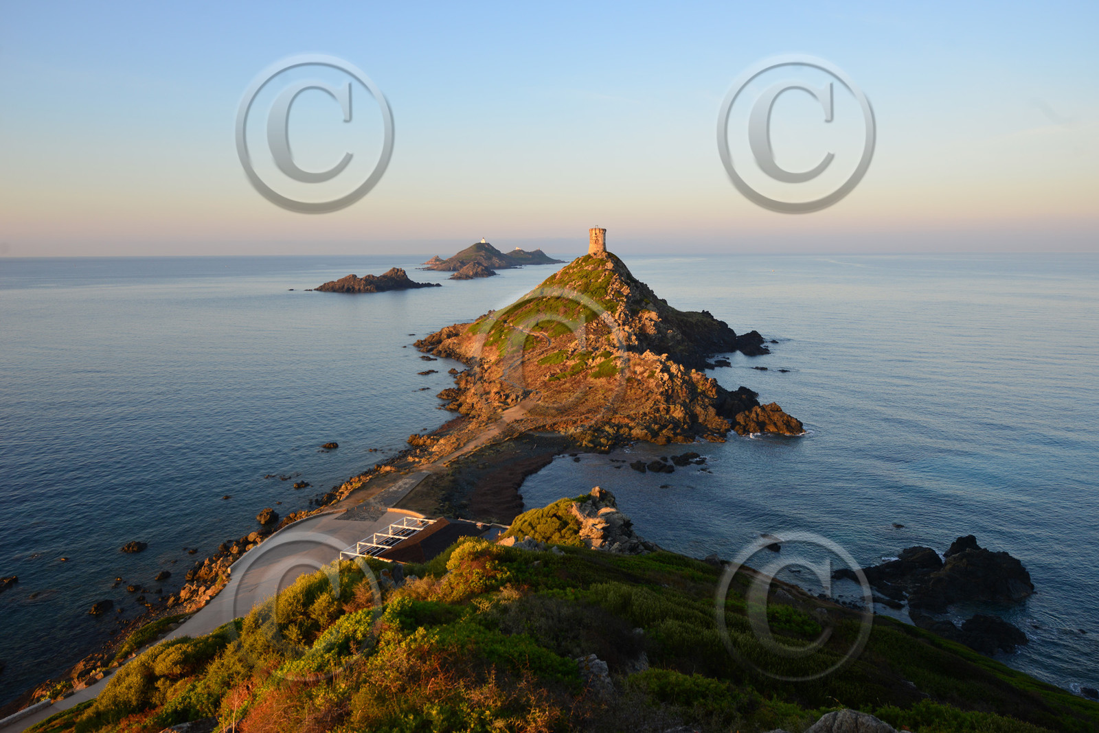 les-sansuinaires-corse-2-sept-0351.jpg