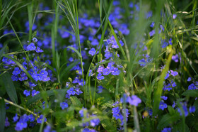 Photo de la sainte baume