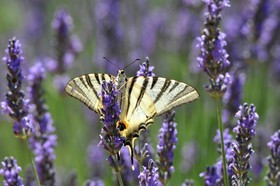 MISE A  JOUR  en cours