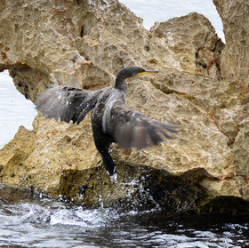 MISE A  JOUR  en cours